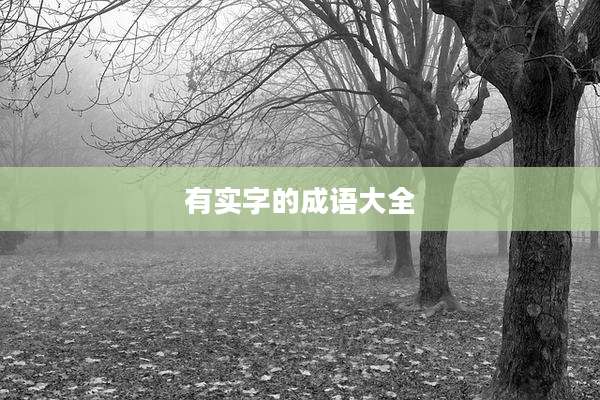 有实字的成语大全