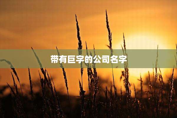 带有巨字的公司名字