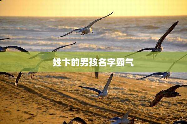 姓卞的男孩名字霸气