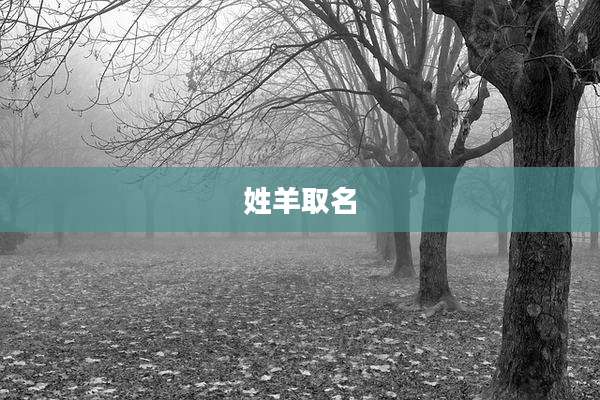 姓羊取名