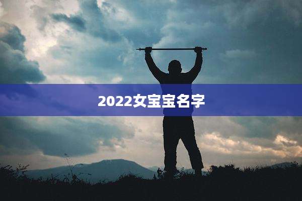2022女宝宝名字