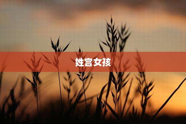 姓宫女孩