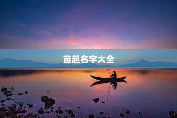 苗起名字大全