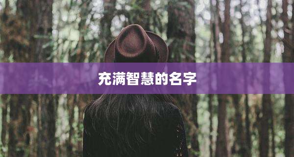 充满智慧的名字