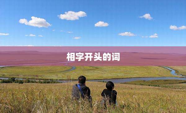 相字开头的词