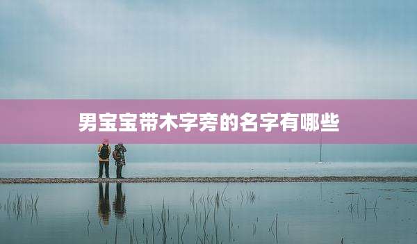 男宝宝带木字旁的名字有哪些