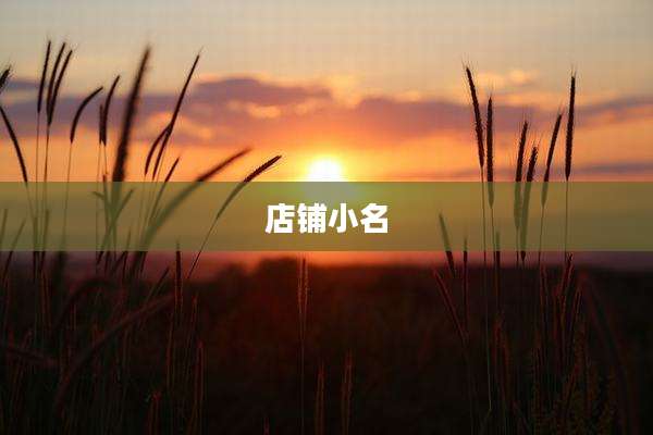店铺小名