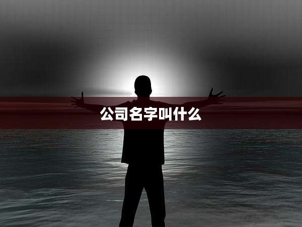公司名字叫什么