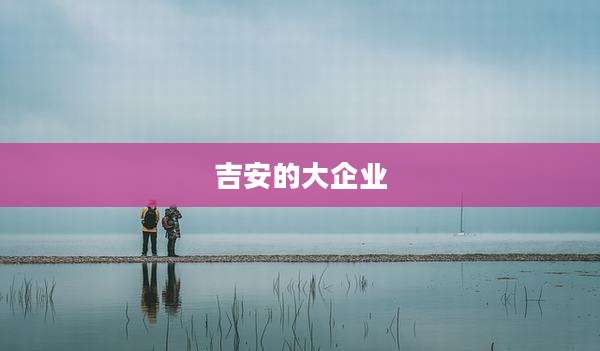 吉安的大企业