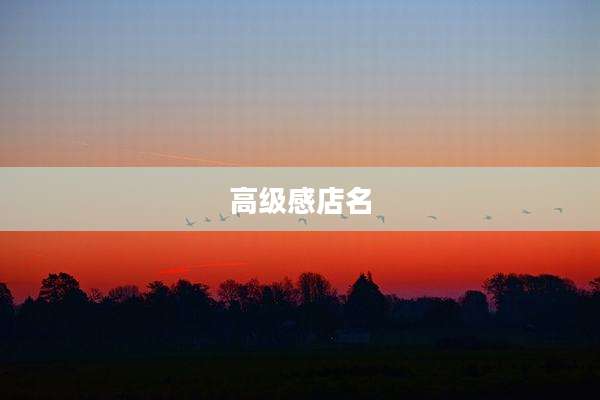 高级感店名