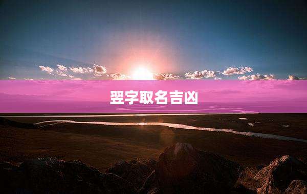 翌字取名吉凶