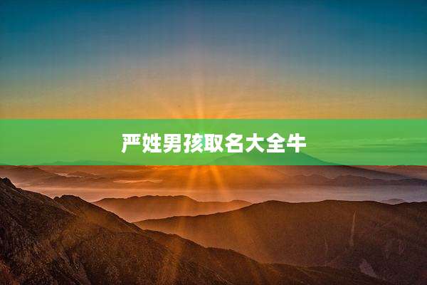 严姓男孩取名大全牛