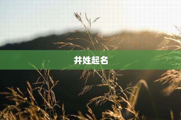 井姓起名