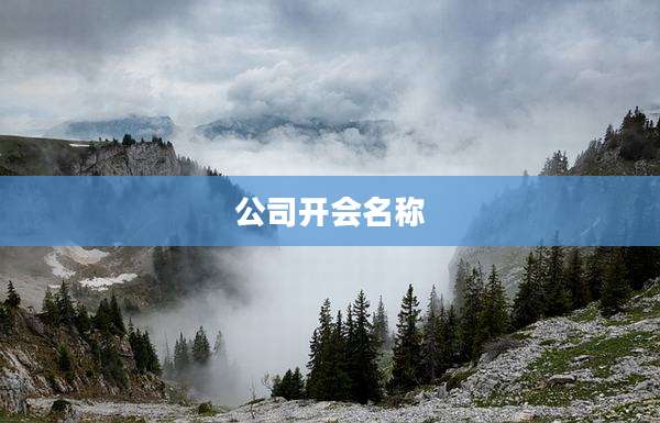 公司开会名称