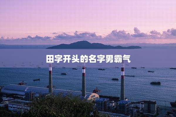 田字开头的名字男霸气