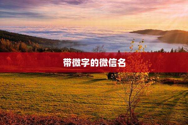 带微字的微信名