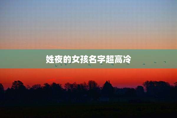 姓夜的女孩名字超高冷