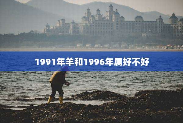 1991年羊和1996年属好不好
