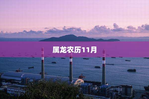 属龙农历11月