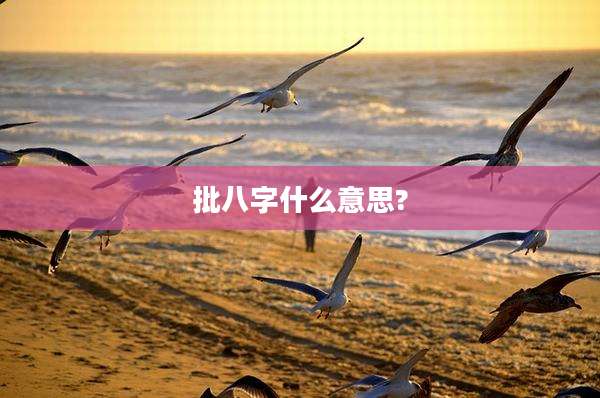 批八字什么意思?