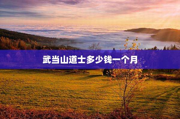 武当山道士多少钱一个月