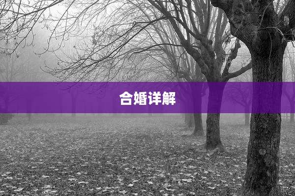 合婚详解