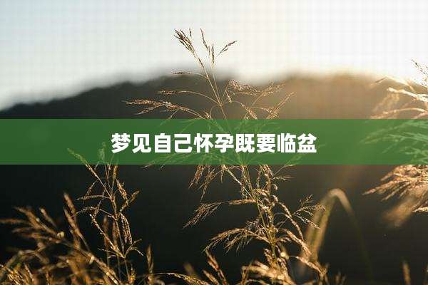 梦见自己怀孕既要临盆