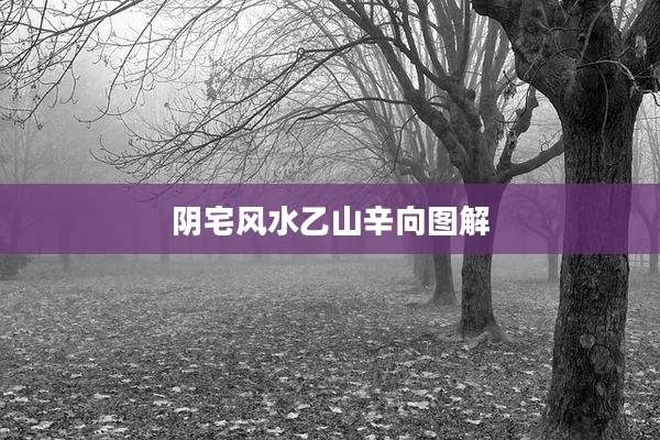 阴宅风水乙山辛向图解