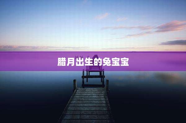 腊月出生的兔宝宝