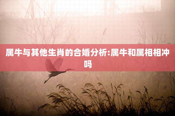 属牛与其他生肖的合婚分析:属牛和属相相冲吗