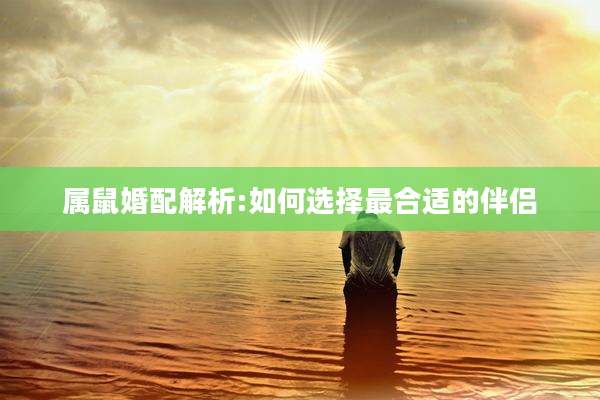 属鼠婚配解析:如何选择最合适的伴侣