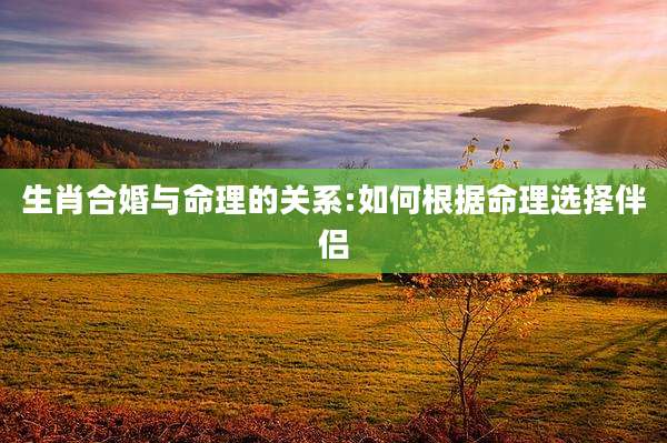 生肖合婚与命理的关系:如何根据命理选择伴侣