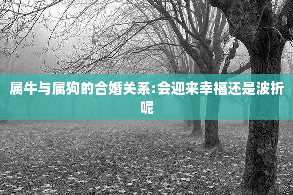 属牛与属狗的合婚关系:会迎来幸福还是波折呢