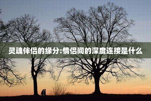 灵魂伴侣的缘分:情侣间的深度连接是什么