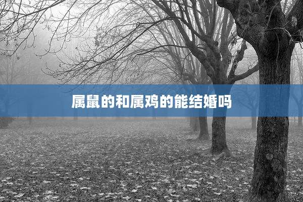属鼠的和属鸡的能结婚吗