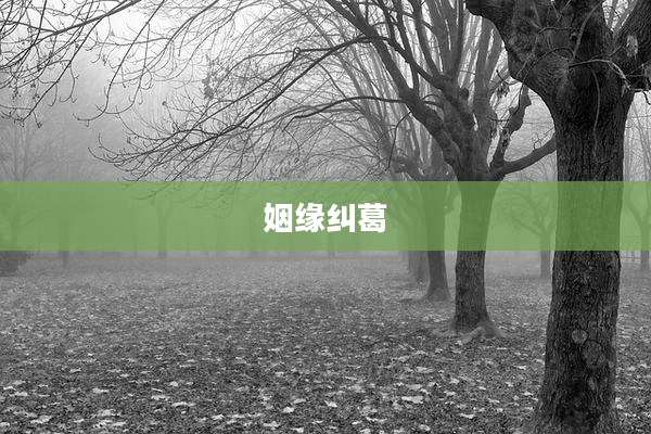姻缘纠葛