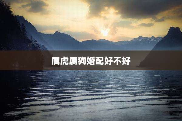 属虎属狗婚配好不好