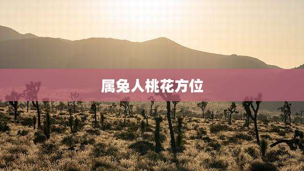 属兔人桃花方位