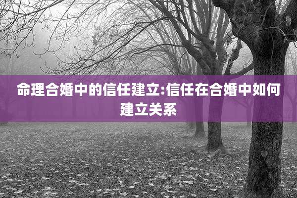 命理合婚中的信任建立:信任在合婚中如何建立关系
