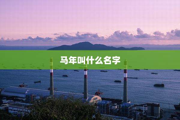 马年叫什么名字