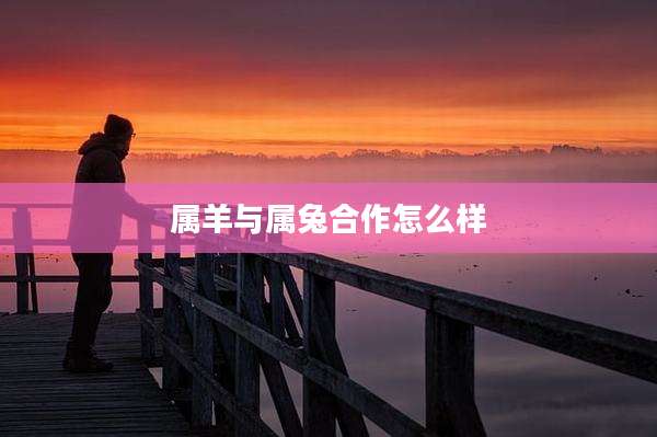 属羊与属兔合作怎么样
