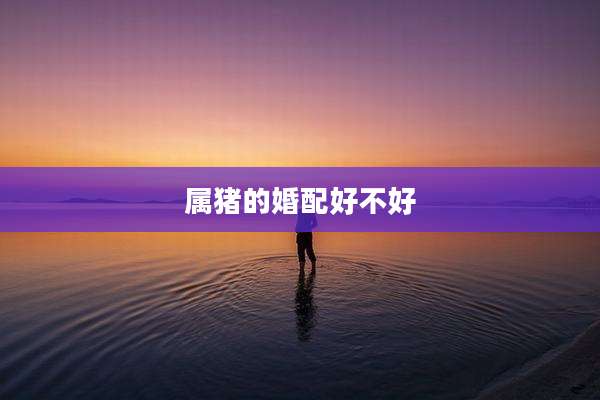 属猪的婚配好不好