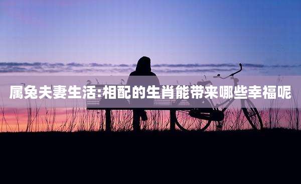 属兔夫妻生活:相配的生肖能带来哪些幸福呢