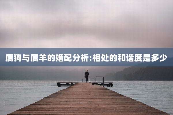 属狗与属羊的婚配分析:相处的和谐度是多少