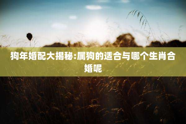 狗年婚配大揭秘:属狗的适合与哪个生肖合婚呢