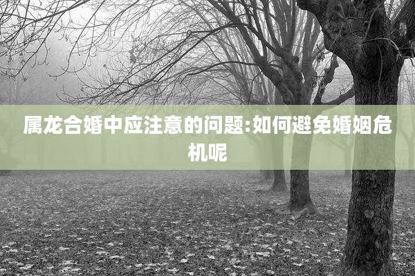 属龙合婚中应注意的问题:如何避免婚姻危机呢