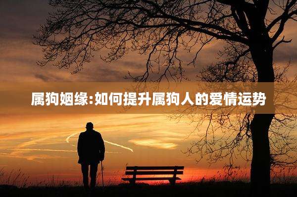 属狗姻缘:如何提升属狗人的爱情运势