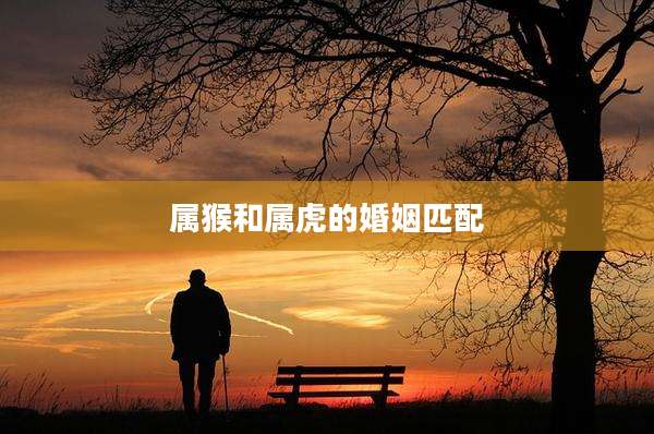 属猴和属虎的婚姻匹配