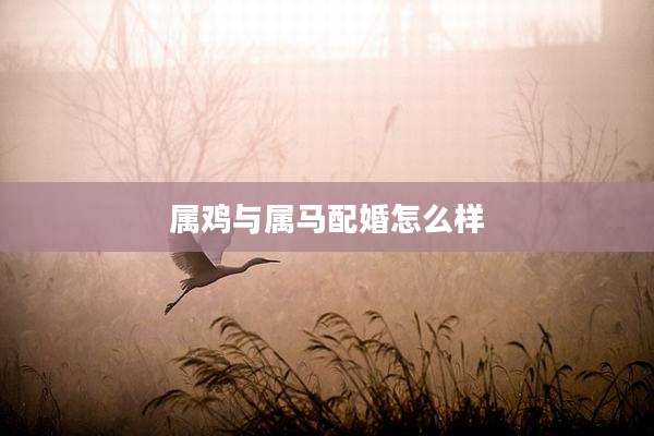 属鸡与属马配婚怎么样
