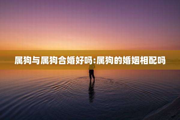 属狗与属狗合婚好吗:属狗的婚姻相配吗